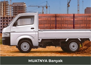Suzuki New Carry Pick-Up Eksterior